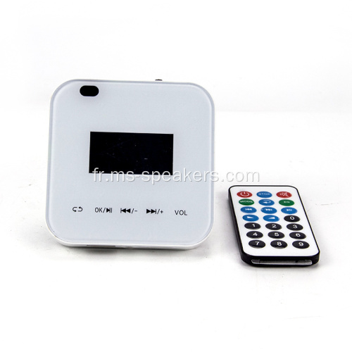 Amplificateur MINI MINI 20W pour Smart Home System